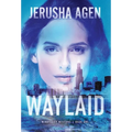Waylaid: A Christian Romantic Suspense