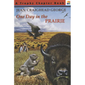 One Day in the Prairie
