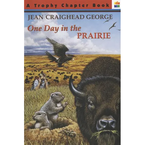 One Day in the Prairie