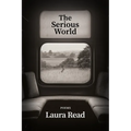 The Serious World