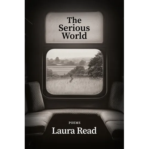 The Serious World