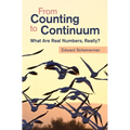 From Counting to Continuum