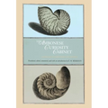 Ambonese Curiosity Cabinet