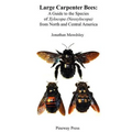 Large Carpenter Bees: A Guide to Species of Xylocopa (Neoxylocopa) from North and Central America