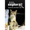 American Shorthair Cat - Kids Explore: Animal books nonfiction - books ages 5-6
