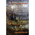 The World as God's Icon: Creator and Creation in the Platonic Thought of Thomas Aquinas