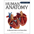 Human Anatomy: An Illustrated Guide to the Human Body
