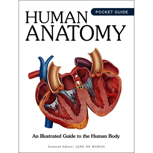 Human Anatomy: An Illustrated Guide to the Human Body
