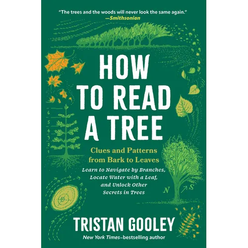 How to Read a Tree: Clues and Patterns from Bark to Leaves