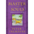 Master of Souls: A Mystery of Ancient Ireland