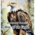 Rise of an Eagle: Woodland of Wonders Series: life cycle of a magnificent bald eagle through captivating poetry and stunning illustrations.
