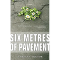 Six Metres of Pavement