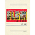 Vintage Lined Notebook Greetings from Elgin, Illinois