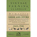 Domestic Geese and Ducks - A Complete and Authentic Handbook and Guide for Breeders, Growers and Admirers of Domestic Geese and Ducks