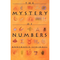 The Mystery of Numbers