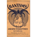 Bantams and How to Keep Them (Poultry Series - Chickens)