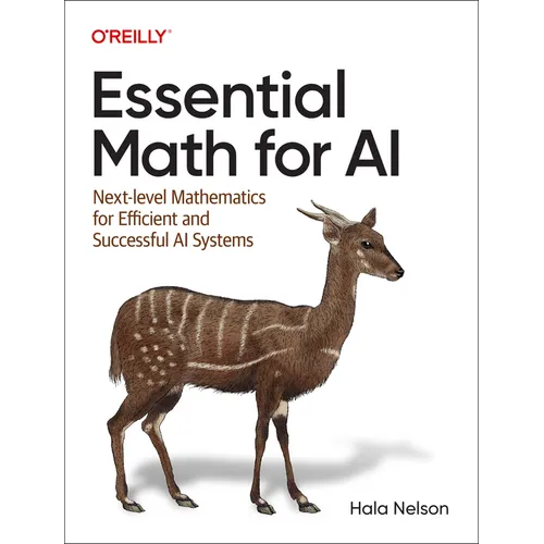 Essential Math for AI: Next-Level Mathematics for Efficient and Successful AI Systems