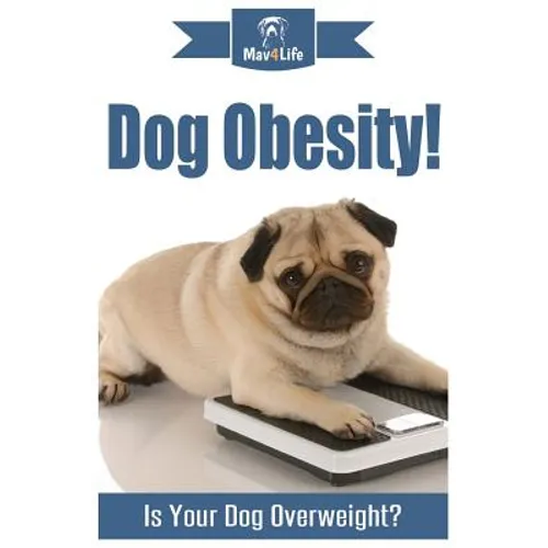 Dog Obesity!: Is Your Dog Overweight?