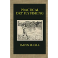 Practical Dry Fly Fishing