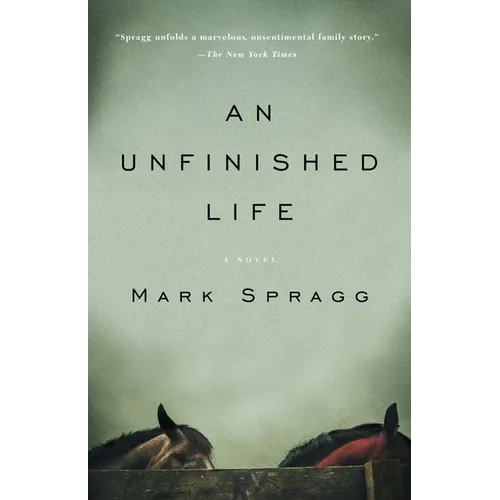 An Unfinished Life