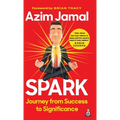 Spark: Journey from Success to Significance