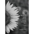 And the Flowers Turn Their Faces Toward the Sun