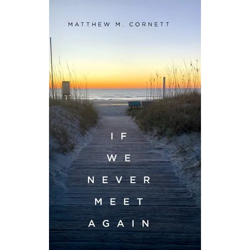 If We Never Meet Again