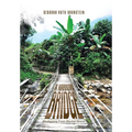 A Narrow Bridge: Awakening From Mental Illness