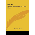 Our Nig: Sketches from the Life of a Free Black