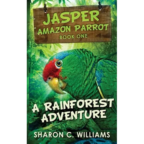 A Rainforest Adventure