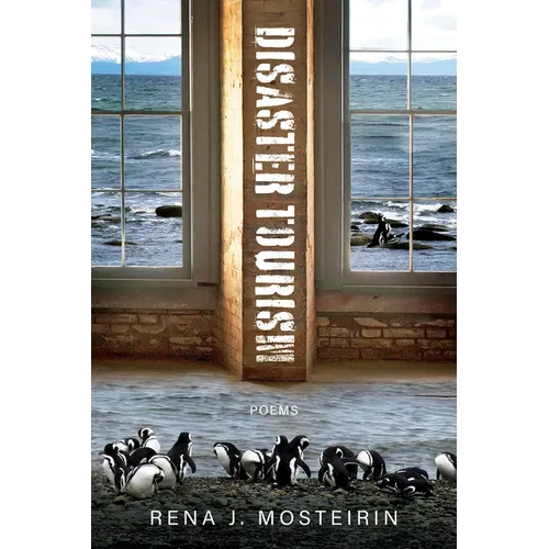 Disaster Tourism