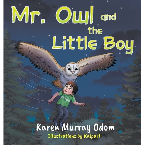 Mr. Owl and the Little Boy