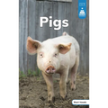 Pigs