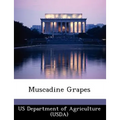 Muscadine Grapes