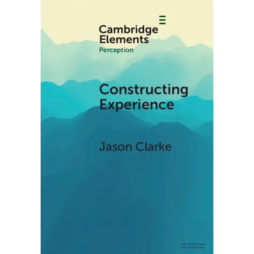 Constructing Experience
