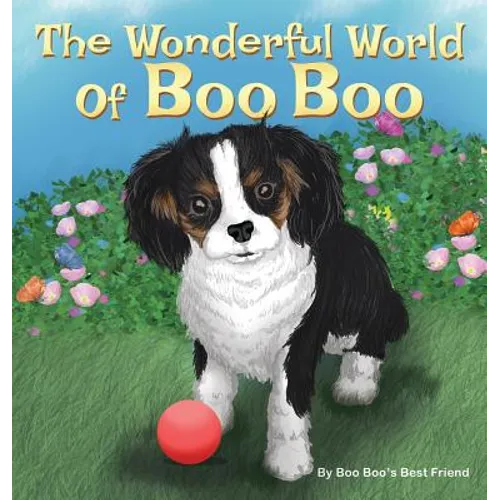 The Wonderful World Of Boo Boo