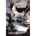 Canyons of The Mind