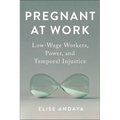 Pregnant at Work: Low-Wage Workers, Power, and Temporal Injustice