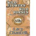 Wildflowers & Wild Horses