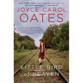 Little Bird of Heaven