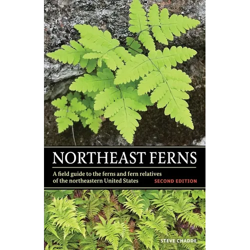 Northeast Ferns: A Field Guide to the Ferns and Fern Relatives of the Northeastern United States