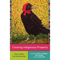 Creating Indigenous Property: Power, Rights, and Relationships