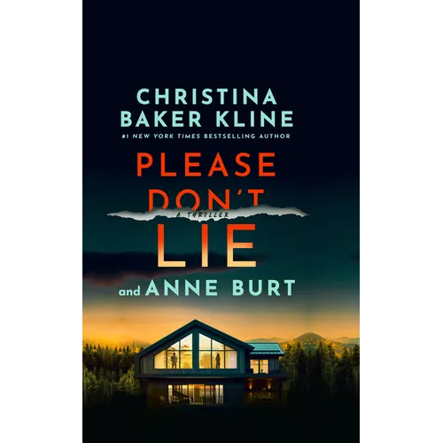 Please Don't Lie: A Thriller