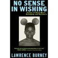 No Sense in Wishing: Essays on Black Music, Belonging, and Baltimore