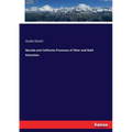 Nevada and California Processes of Silver and Gold Extraction