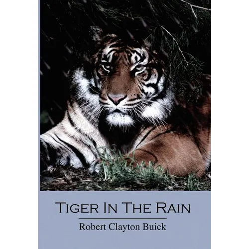Tiger in the Rain