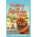 Mystery at Monrovia Castle