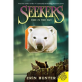 Seekers #5: Fire in the Sky
