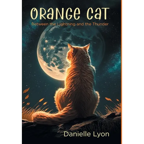 Orange Cat: Between the Lightning and the Thunder