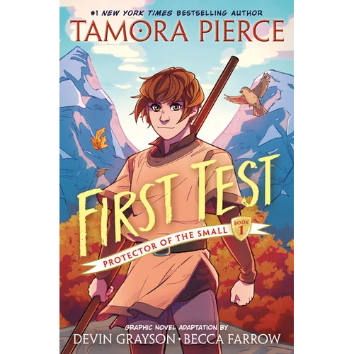 First Test Graphic Novel: (A Graphic Novel)